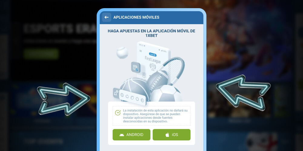 Busca la opción 